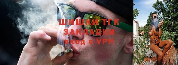 ГАЛЛЮЦИНОГЕННЫЕ ГРИБЫ Алзамай
