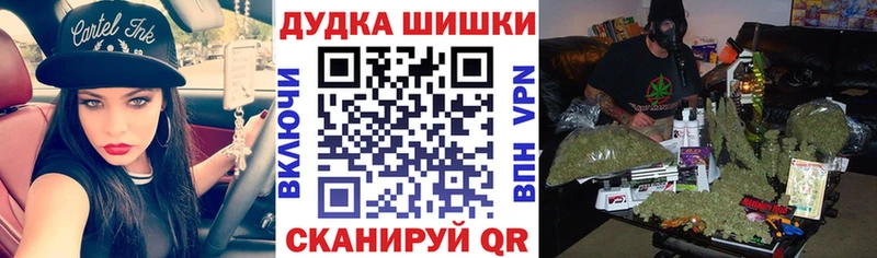 Конопля план  купить  цена  Пласт 